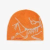 Arcteryx Bird Head Toque Logo-print Wool-blend Beanie Hat